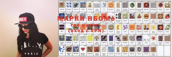 мдпв Бородино