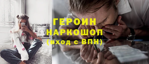 мдпв Бородино