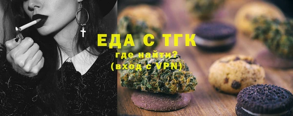 мдпв Бородино