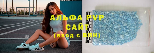 мдпв Бородино