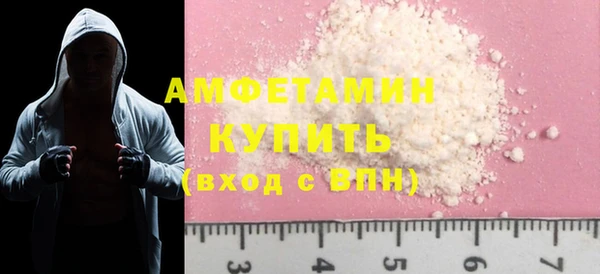 мдпв Бородино