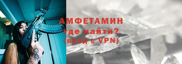мдпв Бородино