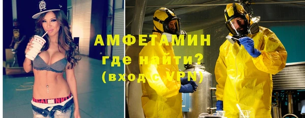 мдпв Бородино